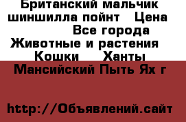 Британский мальчик шиншилла-пойнт › Цена ­ 5 000 - Все города Животные и растения » Кошки   . Ханты-Мансийский,Пыть-Ях г.